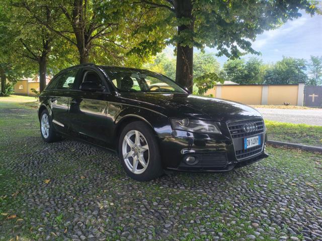 AUDI A4 Avant 2.0 TDI 170CV F.AP. quattro