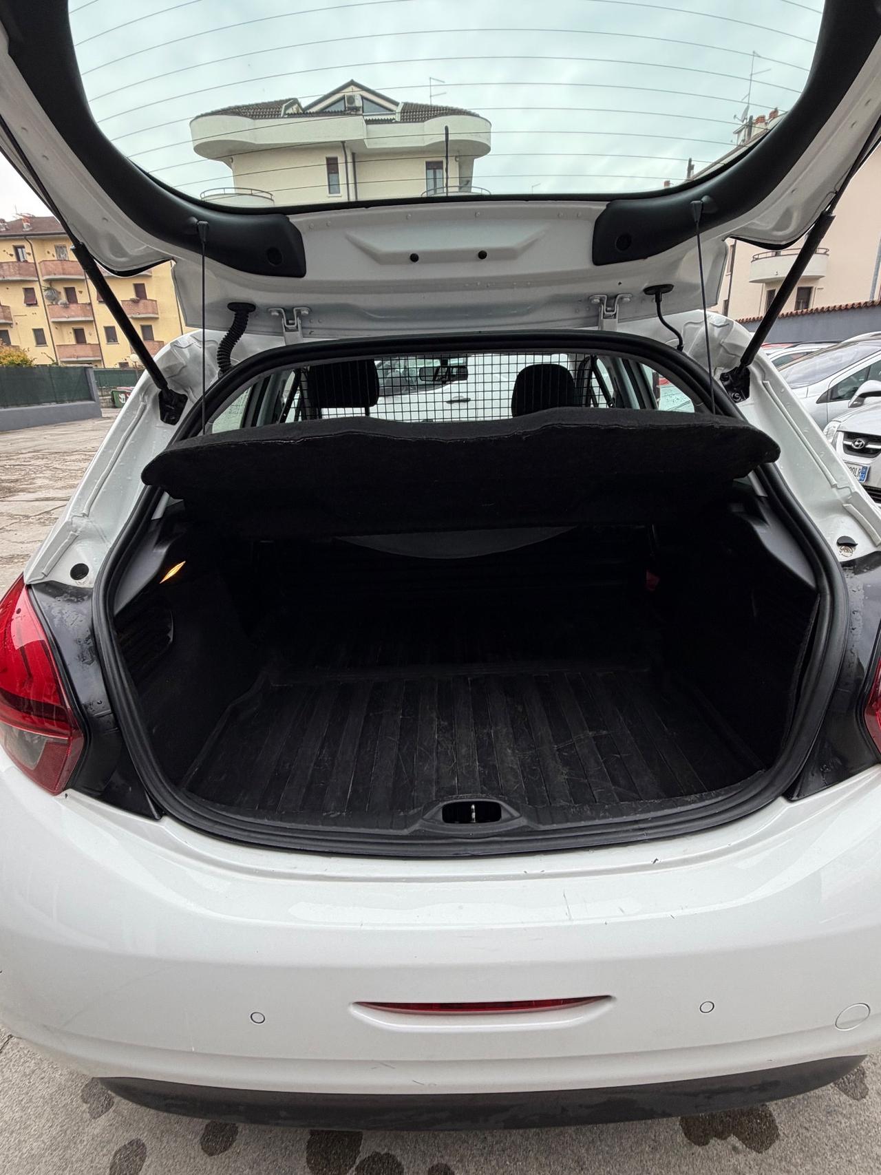 Peugeot 208 BlueHDi 100 S&S 5 porte Van Active