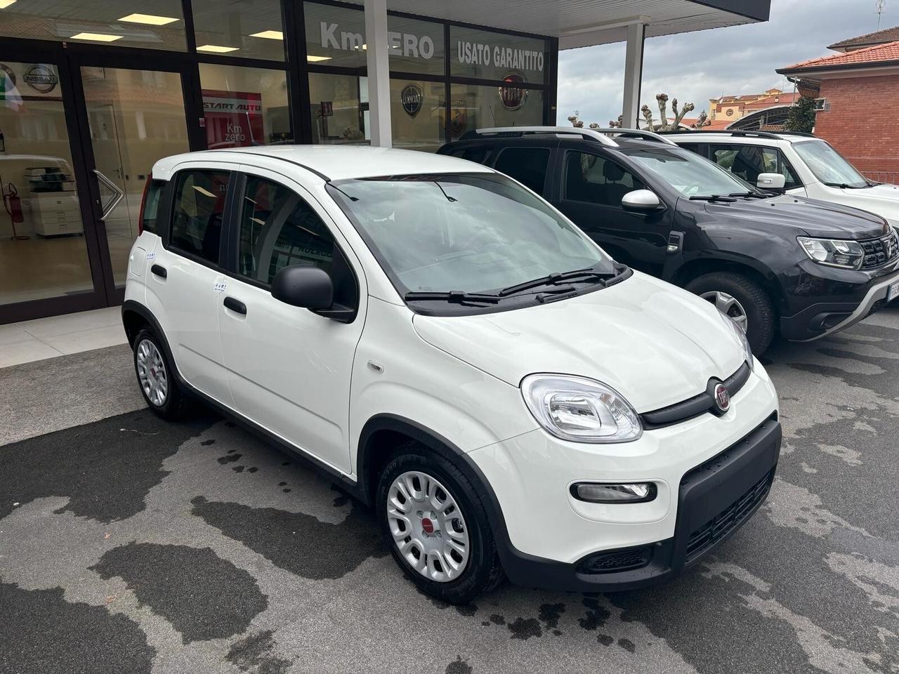 Fiat Panda 1.0 FireFly S&S Hybrid Pandina