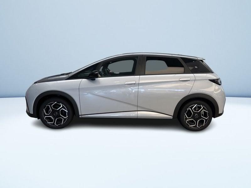 BYD DOLPHIN Design