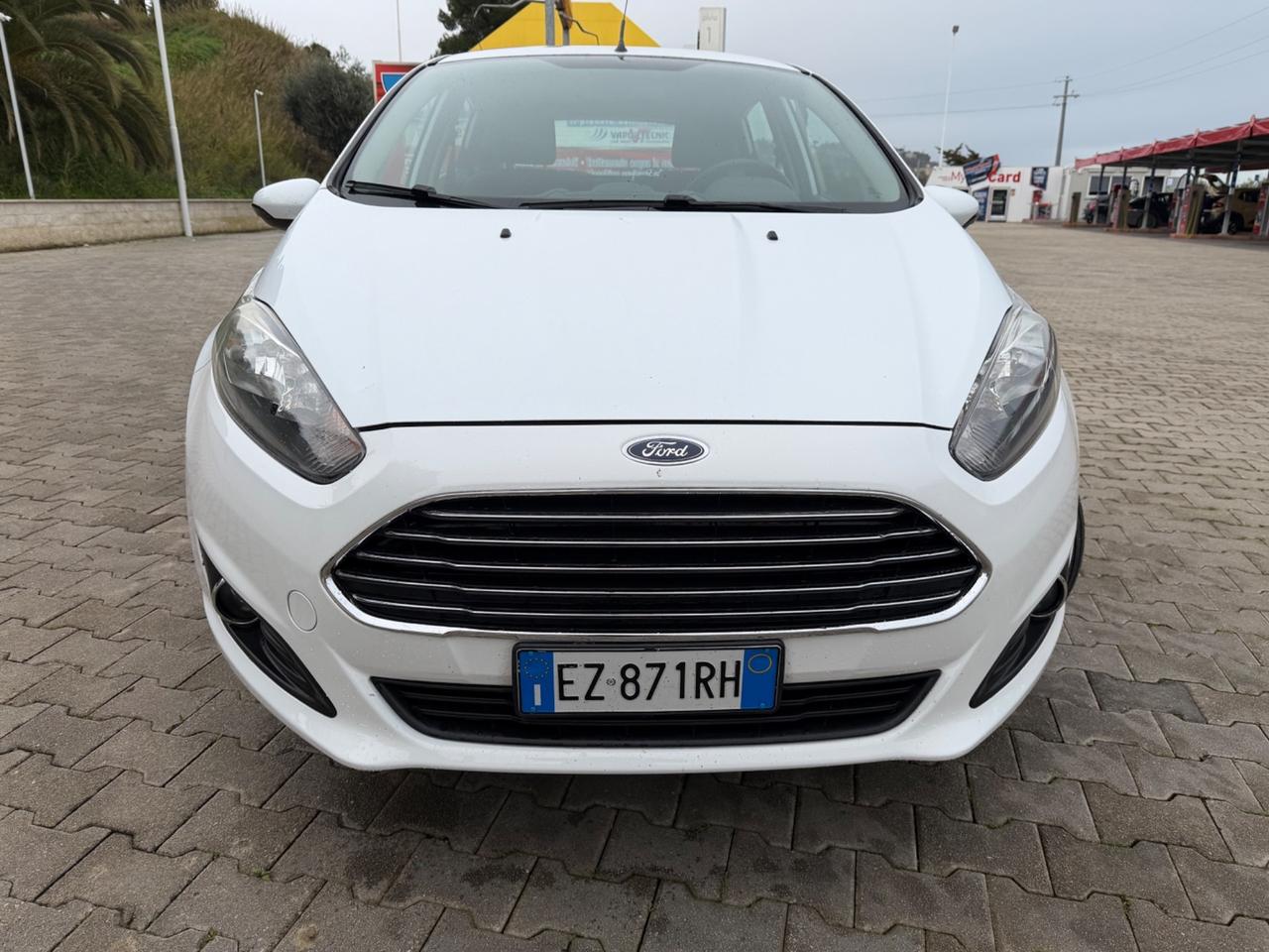 Ford Fiesta 1.5 TDCi 75CV 5 porte Black & White Edition