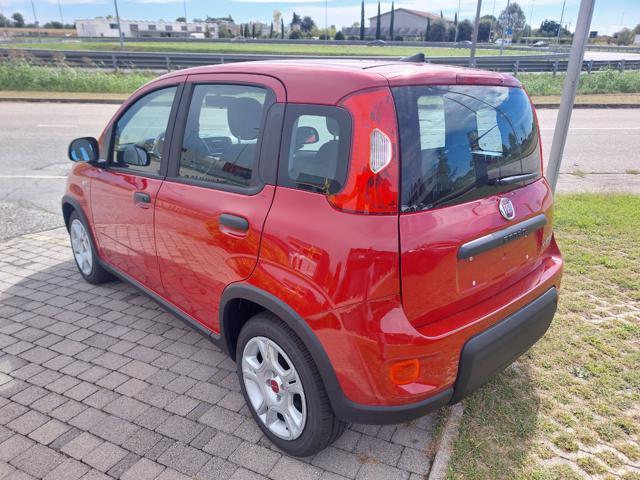 FIAT Panda 1.0 70cv Hybrid Panda My23