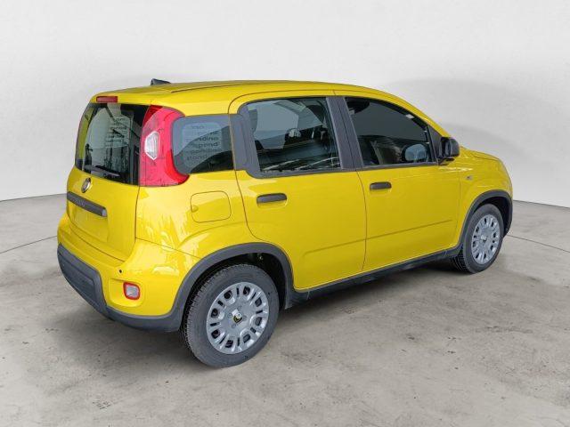 FIAT Panda 1.0 FireFly S&S Hybrid Pandina