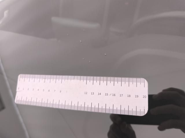 FORD Focus 1.5 ecoblue Business 120cv auto