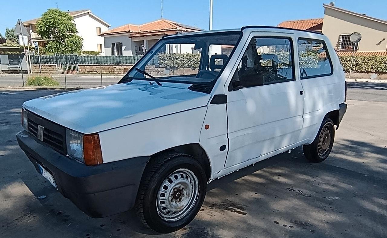 Fiat Panda 900 i.e. cat Young