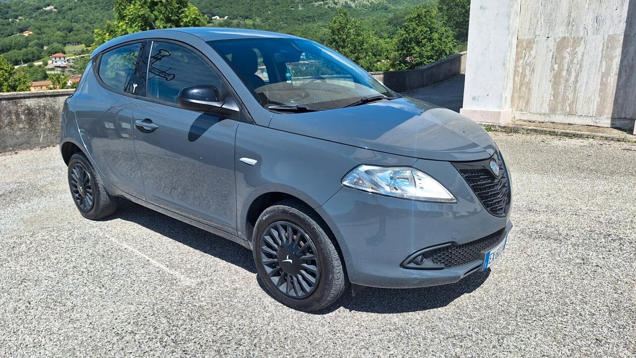 Lancia Ypsilon 0.9 TwinAir 85 CV 5 porte Metano Ecochic Elefantino