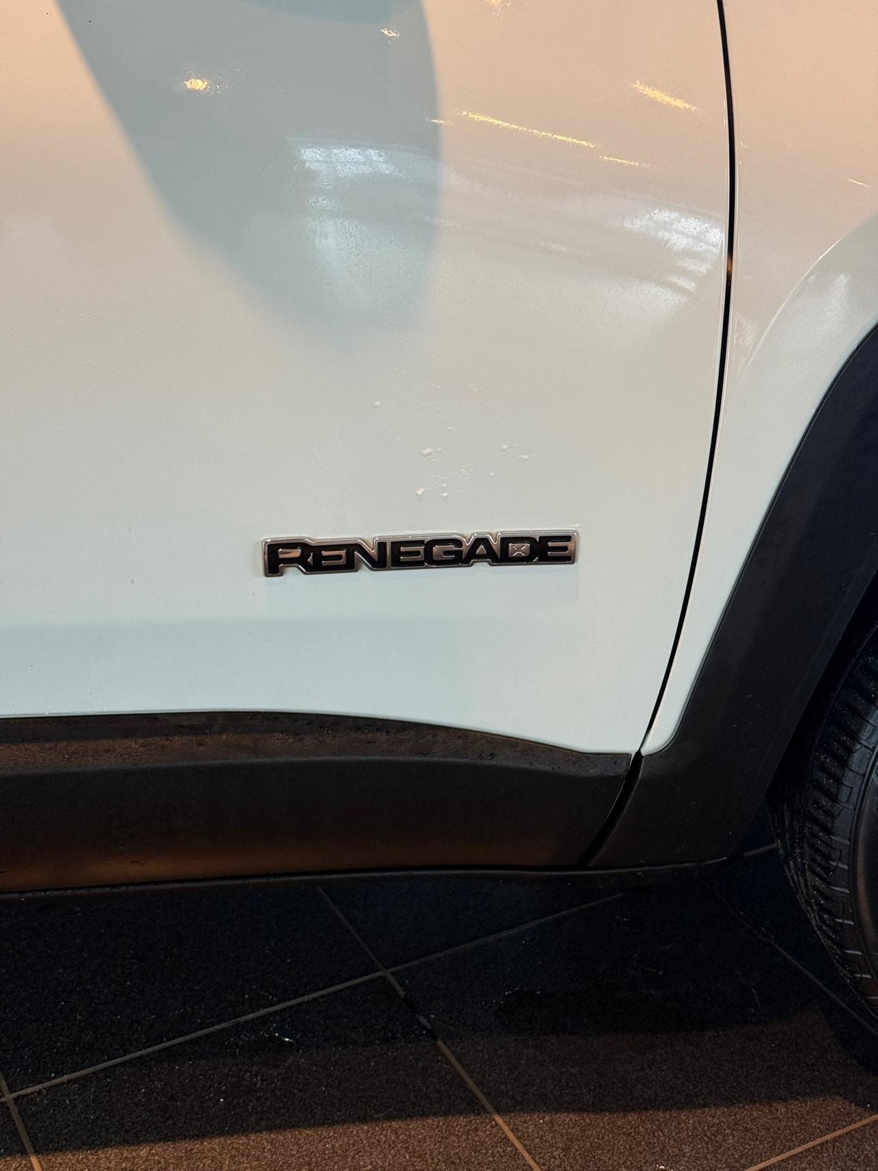 Jeep Renegade 1.6 Mjt 120 CV Limited IVA ESPOSTA