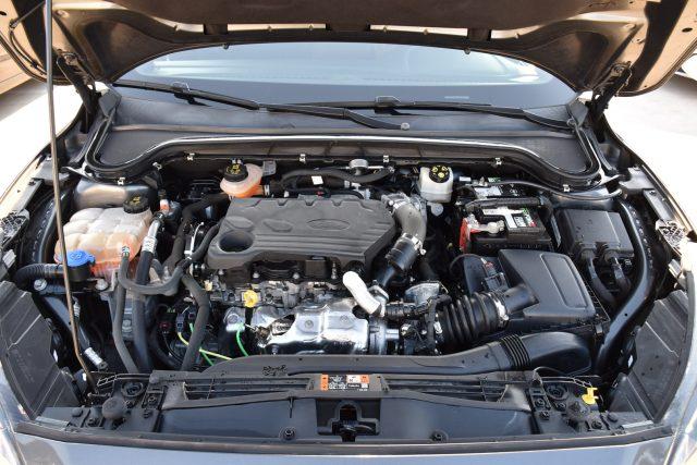FORD Focus 1.5 EcoBlue 120 CV 5p. ST-Line