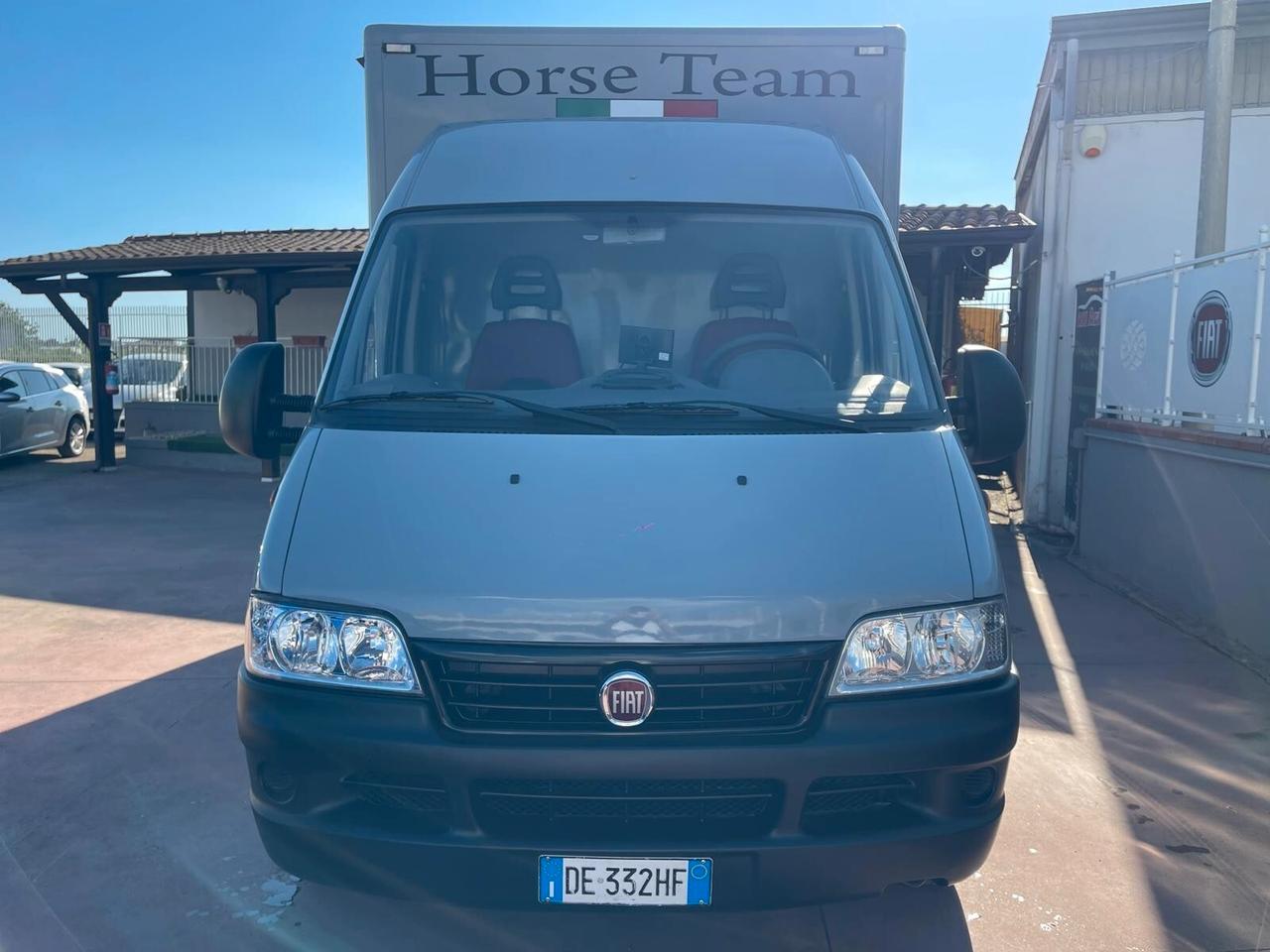 FIAT DUCATO TRASPORTO CAVALLI