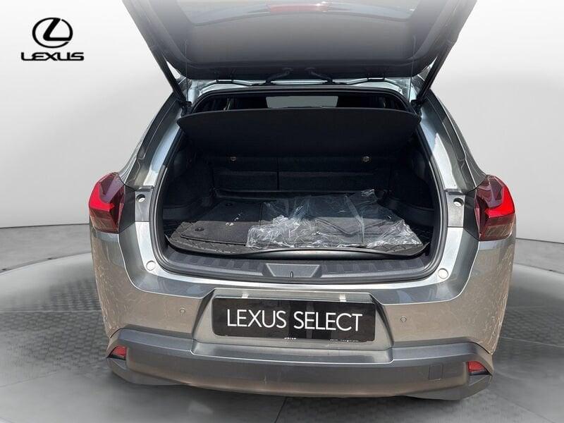 Lexus UX UX 250 Hybrid Midnight