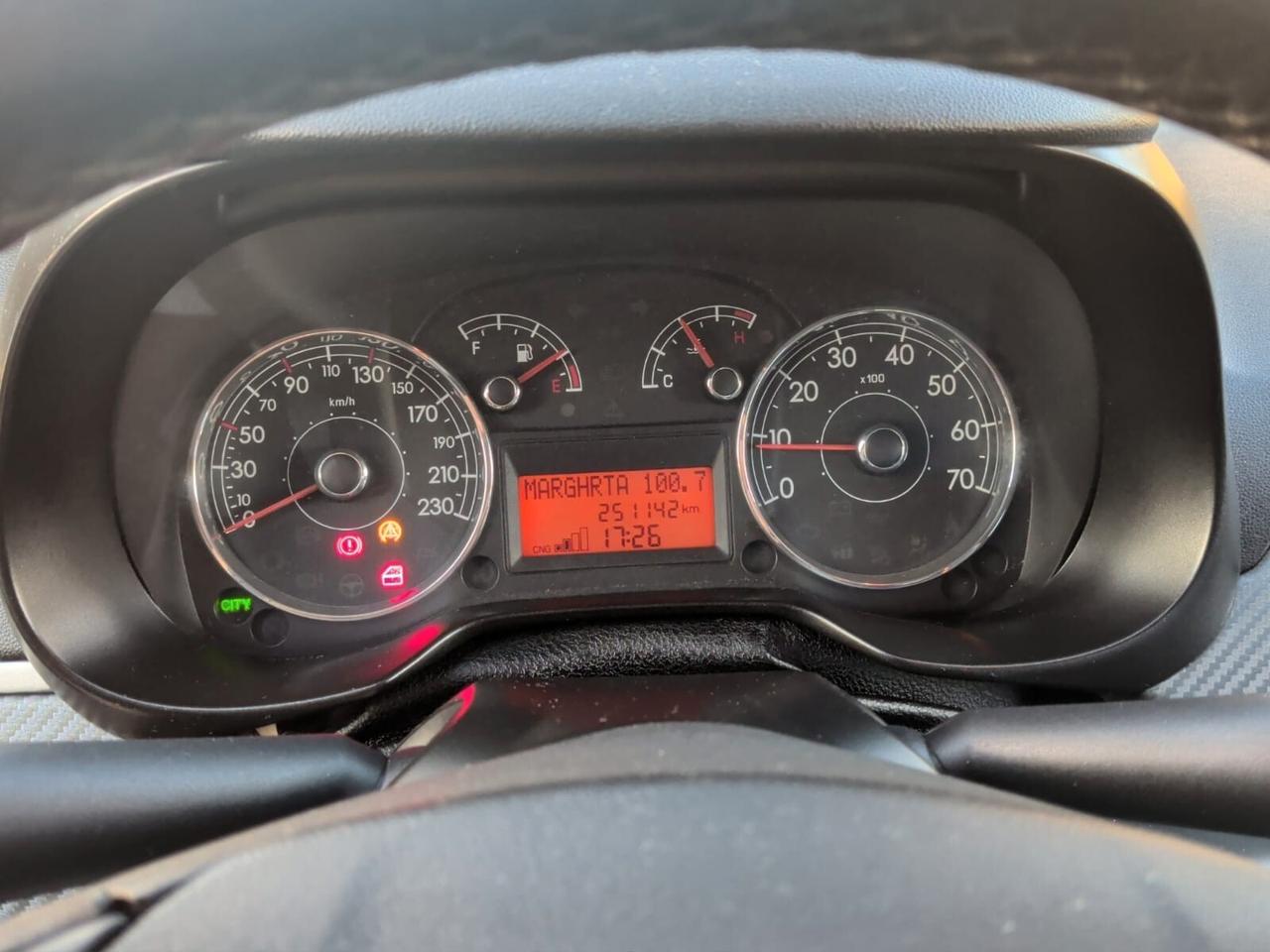 Fiat Grande Punto 1.4 5 porte Active Natural Power 2006