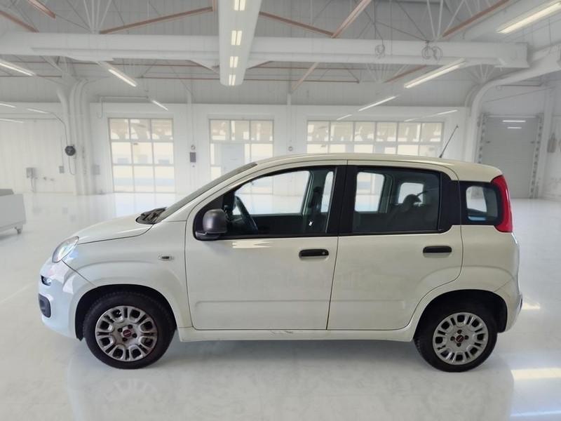 FIAT PANDA 1.2 69 CV SES E6D-TEMP EASY 5 PORTE BERLINA