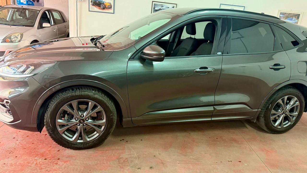 Ford Kuga 1.5 EcoBlue 120 CV 2WD ST-Line garanzia ford 7anni