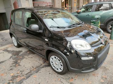 Fiat Panda PANDINA 1.0 FireFly S&S Hybrid