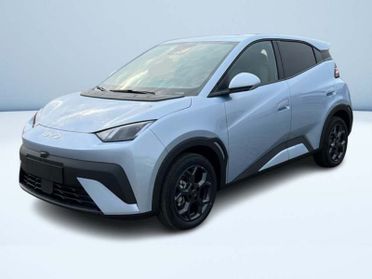 BYD Dolphin Surf Comfort