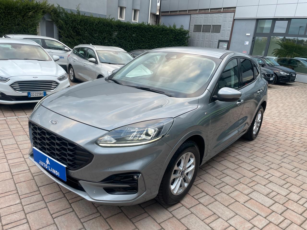 Ford Kuga 1.5 EcoBlue 120 CV 2WD ST-Line