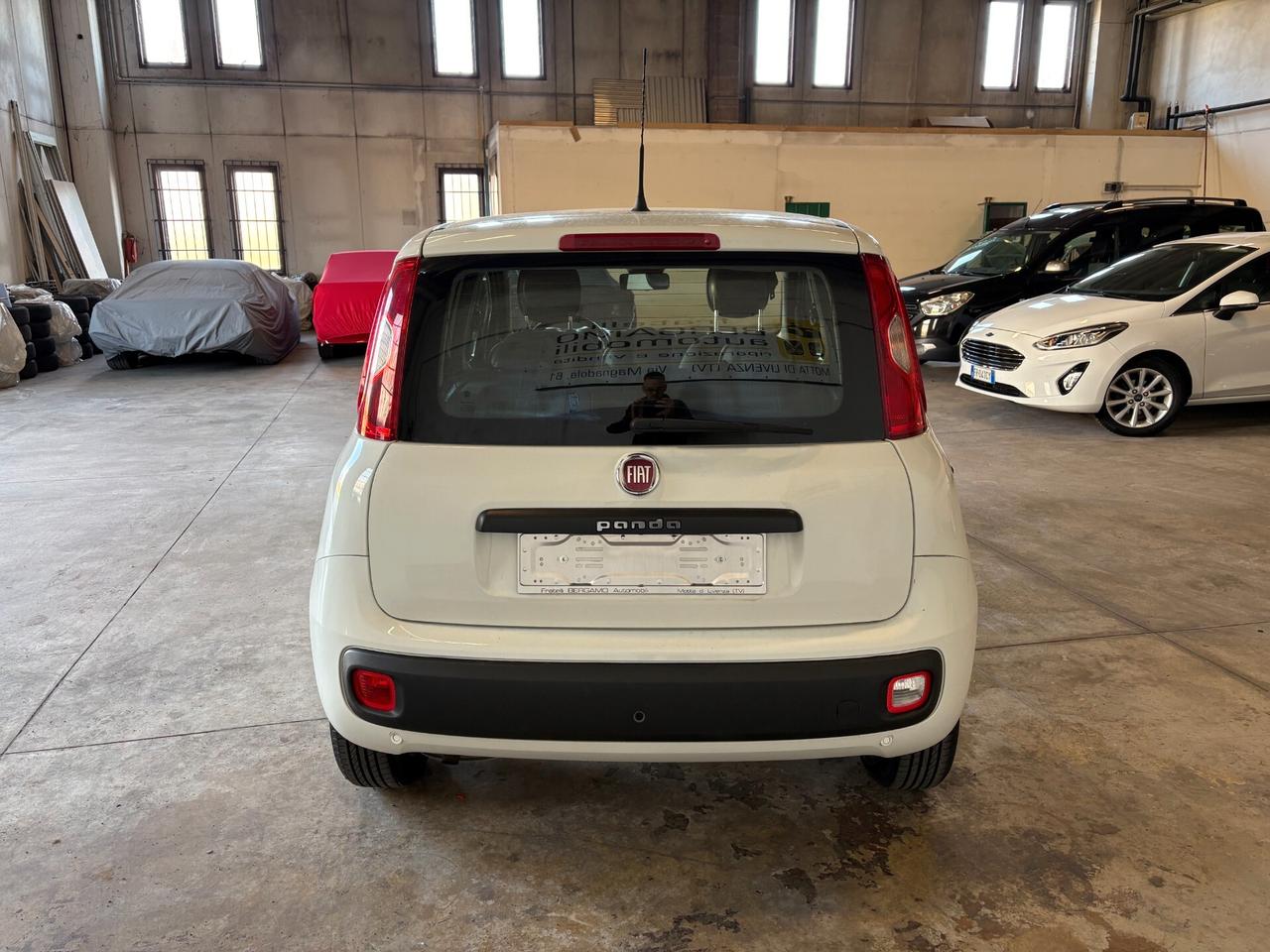 Fiat Panda 1.2 Lounge 5 POSTI Cinghia & Frizione Nuove