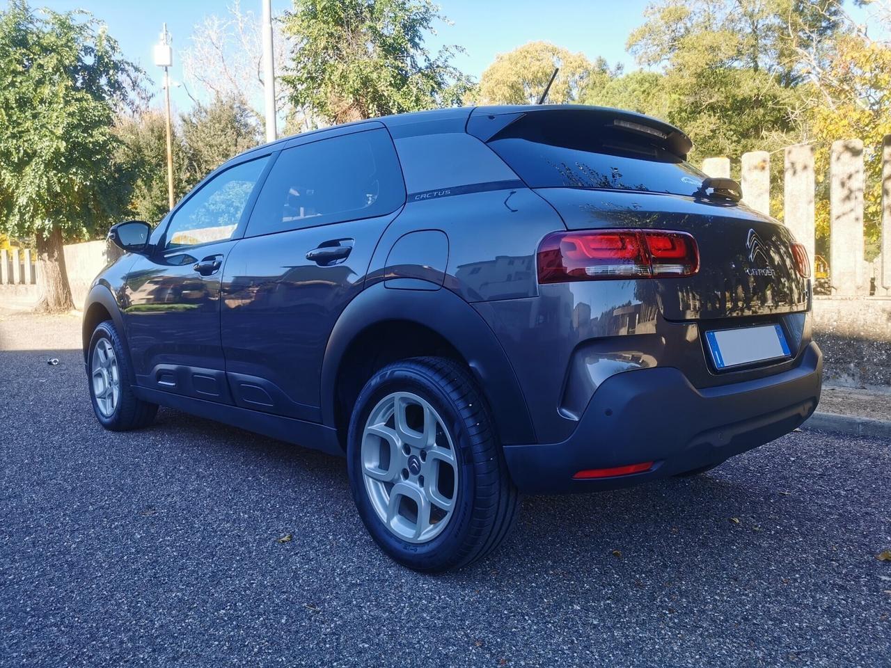 Citroen C4 Cactus BlueHDi 100 S&S Shine
