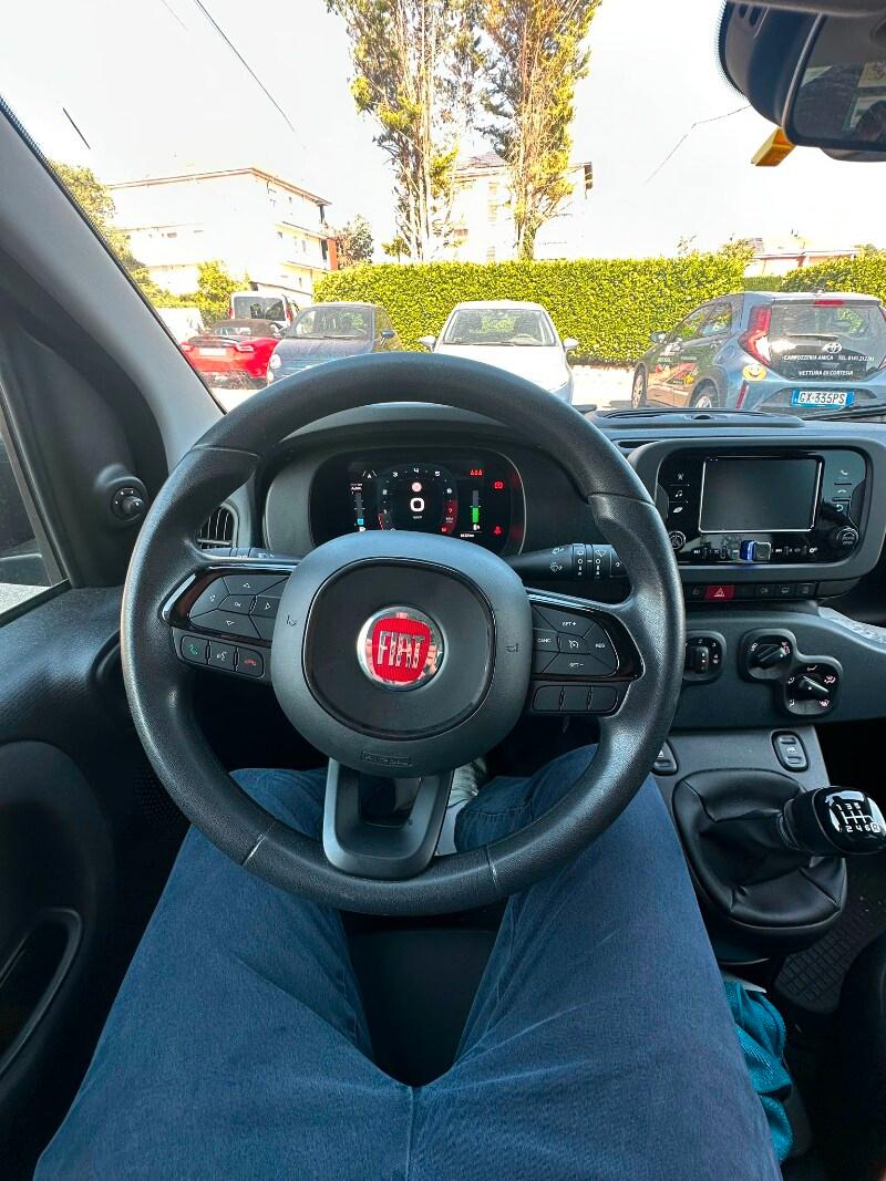 FIAT Panda 3ª serie Panda 1.0 FireFly S&S Hybr...