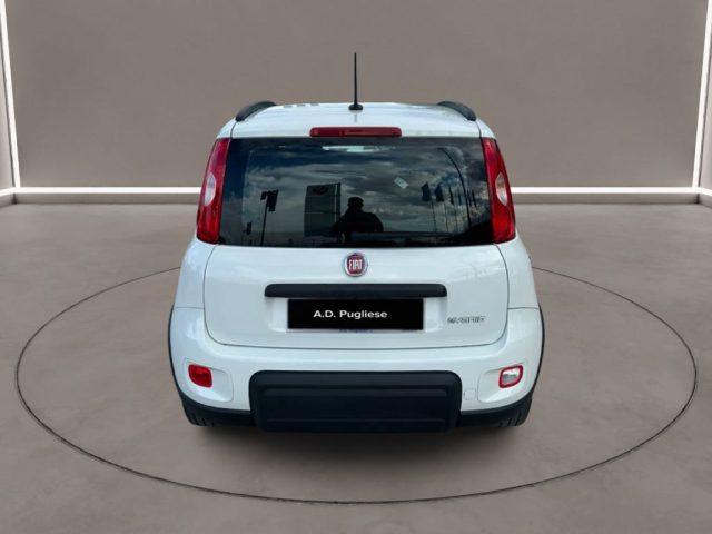 FIAT Panda 3ª serie - 1.0 FireFly S&S Hybrid City Life