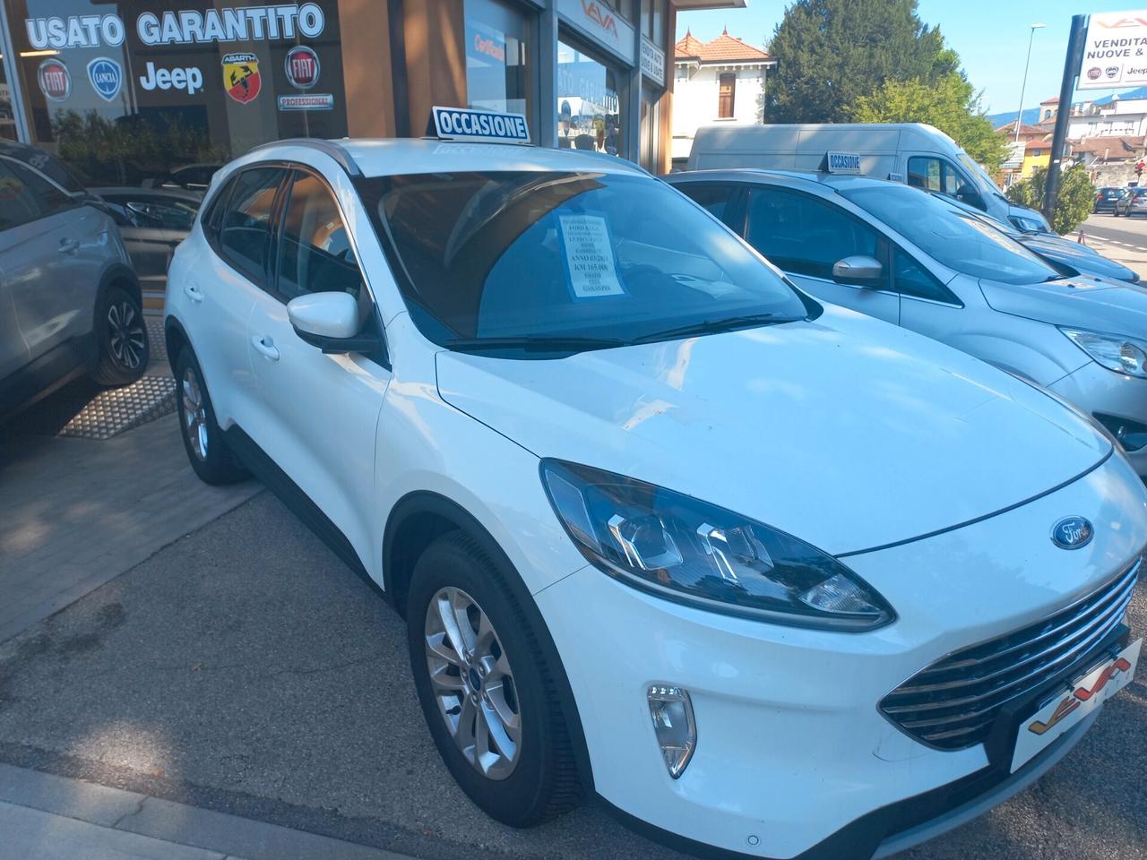 Ford Kuga 1.5 EcoBlue 120 CV 2WD Titanium Business