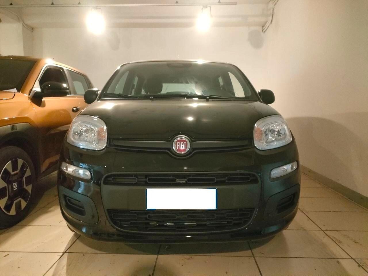FIAT Pandina Pandina 1.0 FireFly 65 CV Hybrid Pop