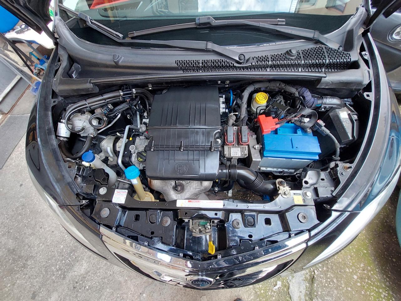 Lancia Ypsilon 1.2 69 CV 5 porte GPL Gold