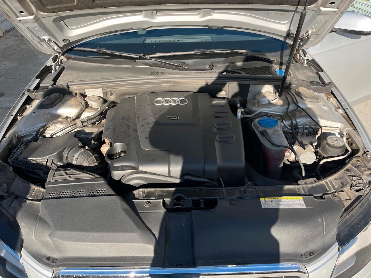 Audi A4 Avant 2.0 TDI 170CV F.AP. quattro