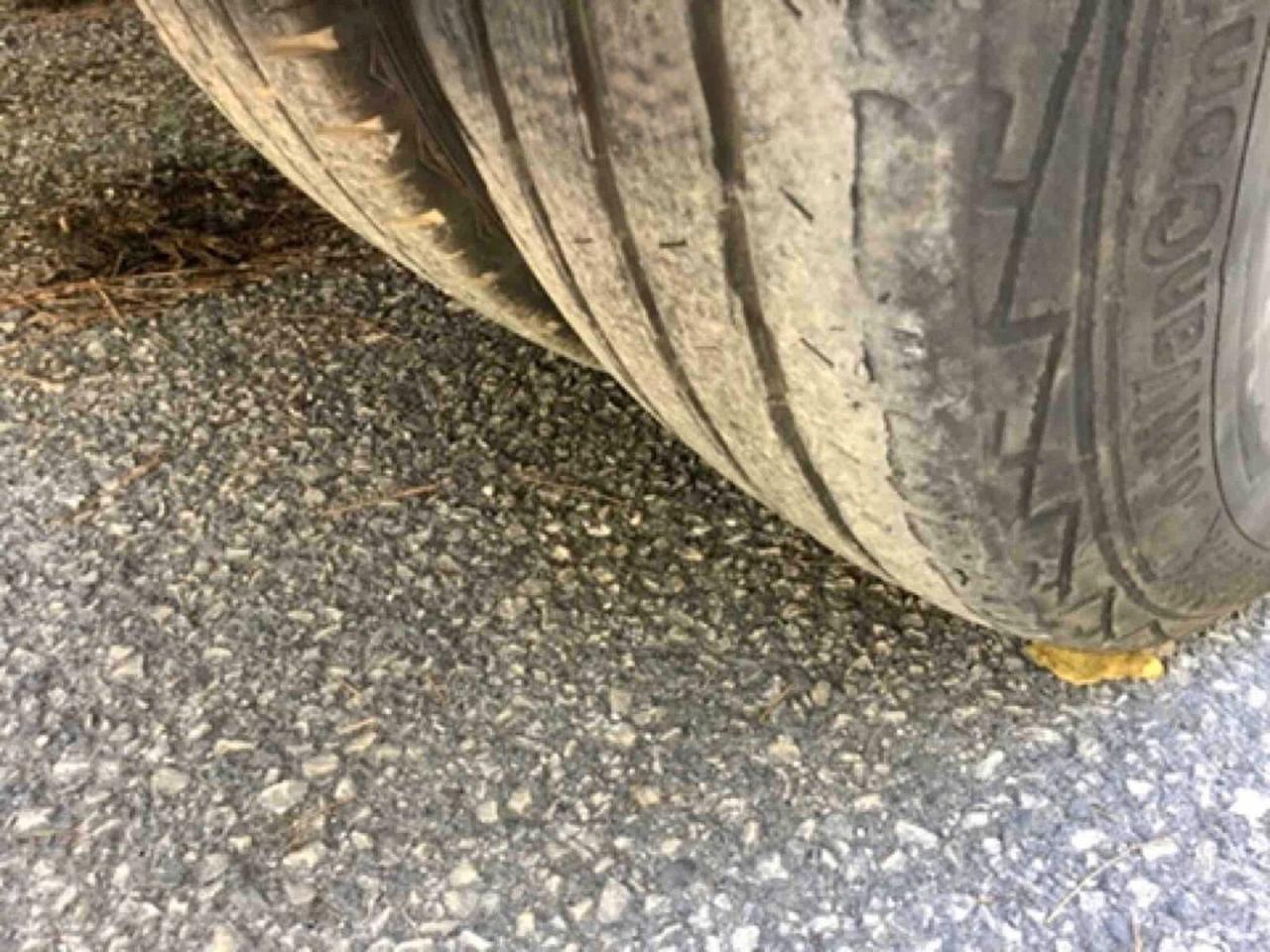 RENAULT MASTER 2.3 COMPATTATORE RIFIUTI