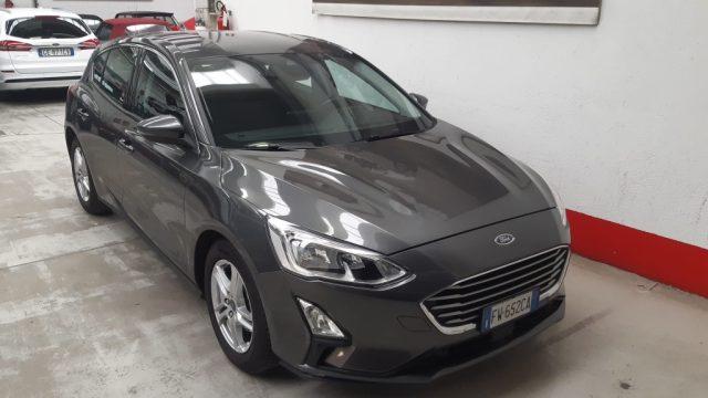 FORD Focus 1.5 TDCi 120 CV Business. BELLISSIMA