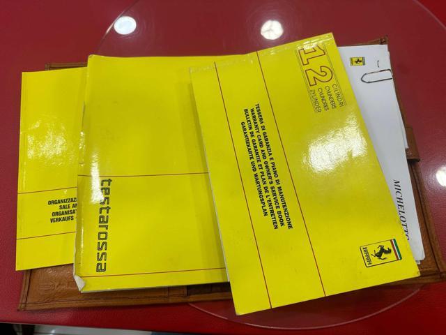 FERRARI Testarossa cat