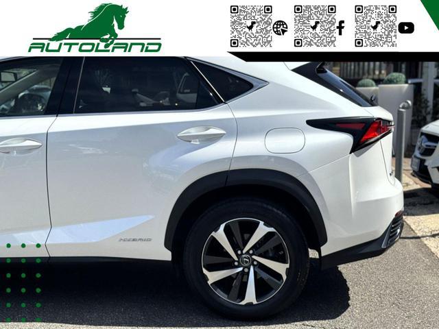 LEXUS NX 300 Hybrid 4WD Executive 155 CV