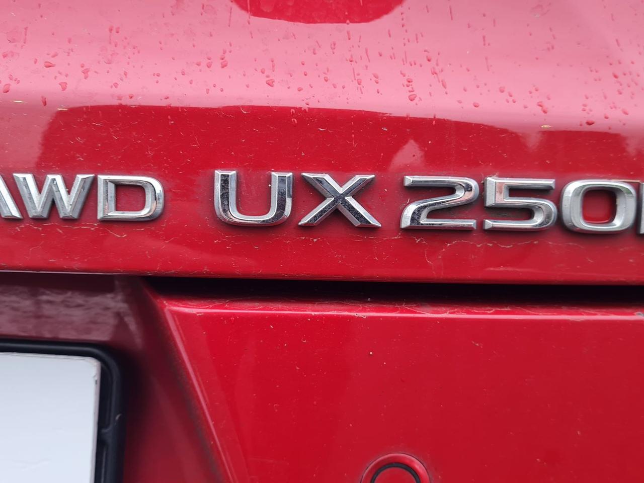 Lexus UX 250h HEV Design #8376