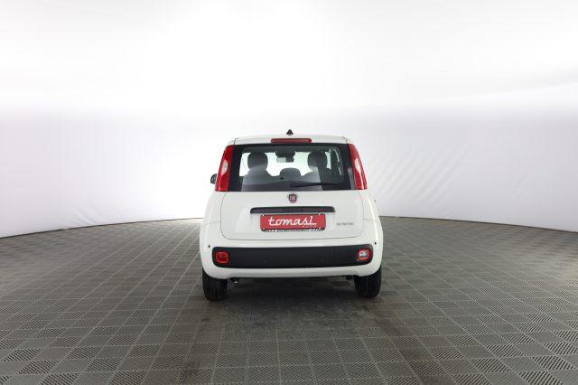 FIAT Panda Pandina 1.0 FireFly 65 CV Hybrid Icon