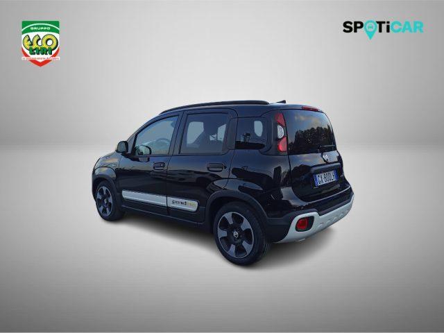 FIAT Panda 1.0 FireFly S&S Hybrid Pandina