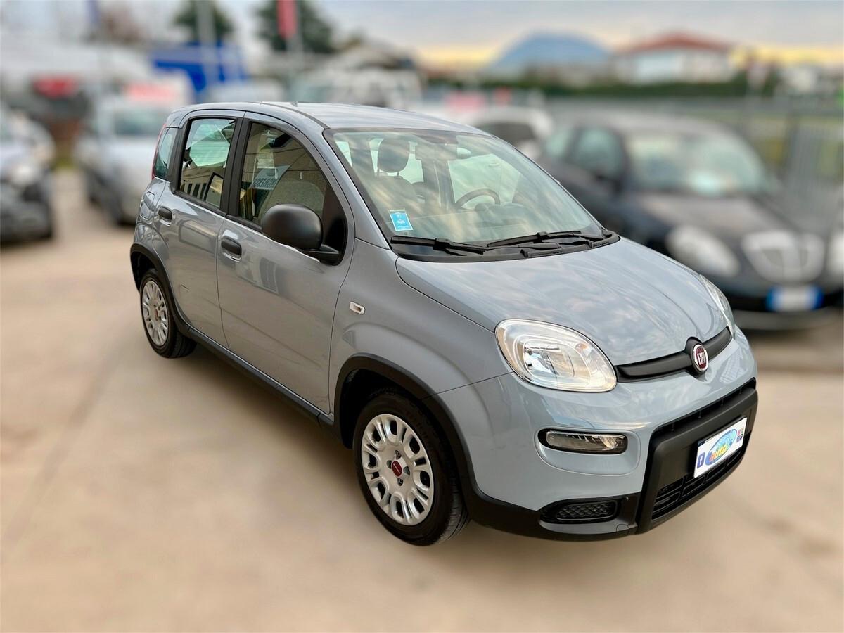 Fiat Panda 1.2 EasyPower Easy X NEOPATENTATI