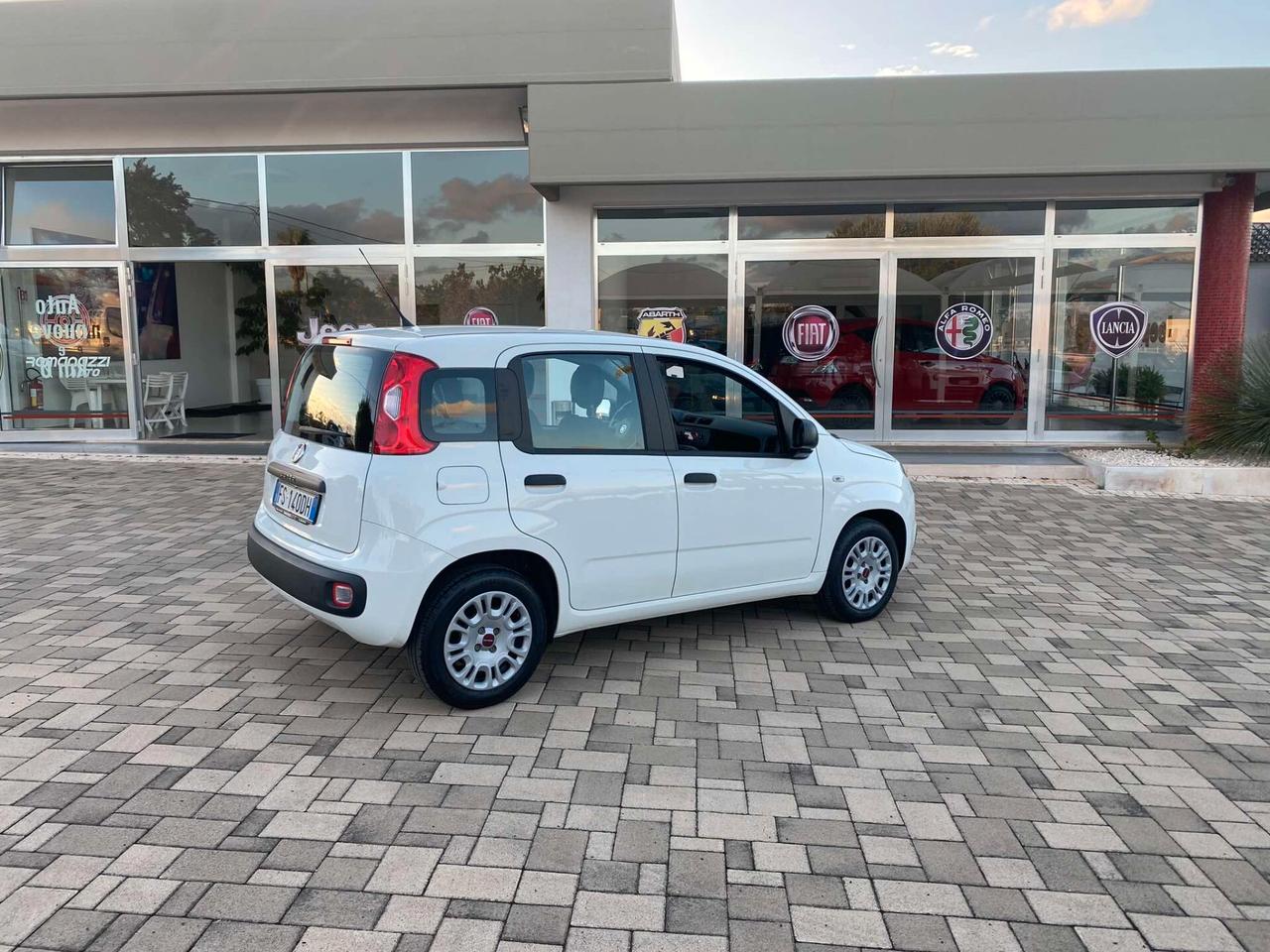 Fiat Panda 1.2 69cv Easy