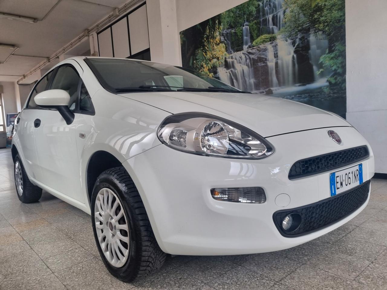 Fiat Punto 1.4 8V 5 porte Natural Power Street