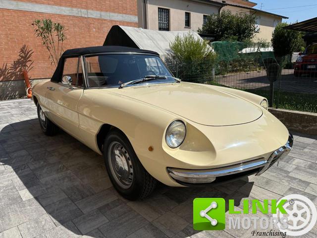 ALFA ROMEO Spider 1.3 Junior Osso di Seppia COMPLETAMENTE RESTAURATA