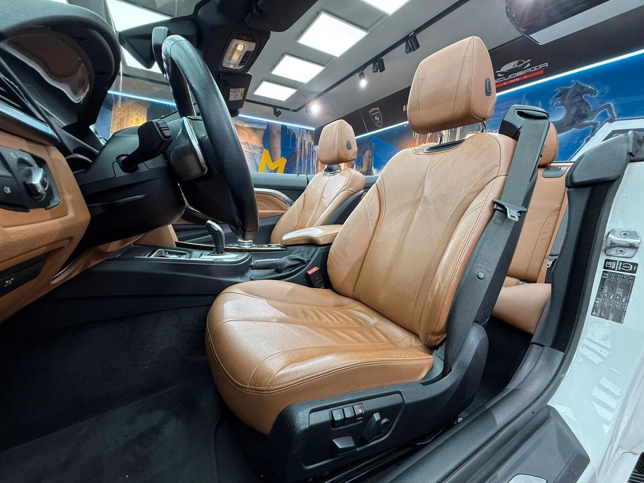 Bmw 420 420d Cabrio (730)