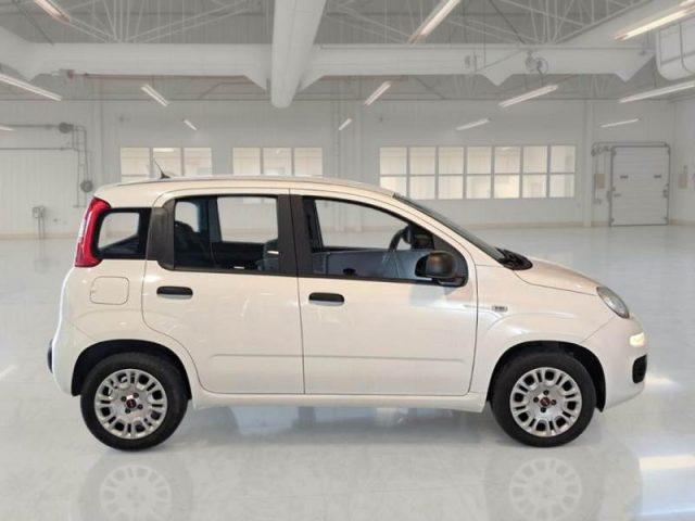 FIAT Panda 1.2 Easy ADATTA A NEOPATENTATO