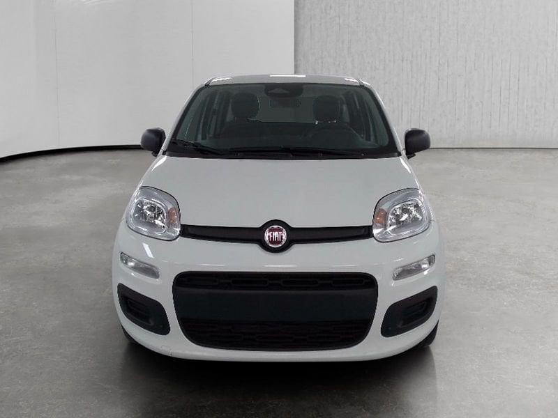 FIAT Pandina 1.0 firefly hybrid Pop s&s 70cv