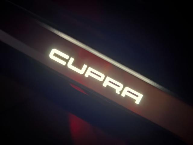 CUPRA Formentor 2.0 TDI 150 CV 4Drive DSG TETTO APR/PAN
