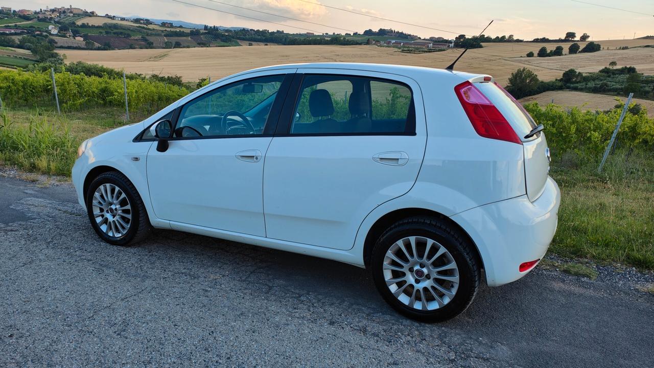 Fiat Punto 1.4 5 porte - neopatentati