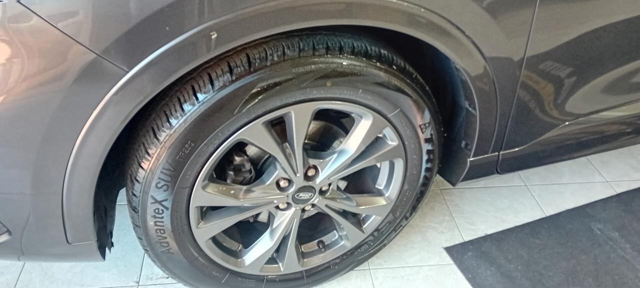Ford Kuga 1.5 EcoBlue 120 CV aut. 2WD ST-Line