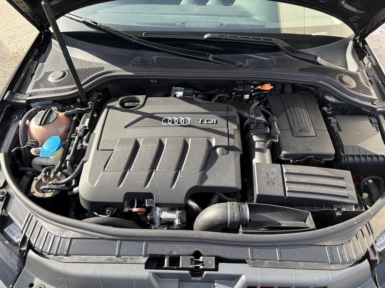 Audi A3 2.0 TDI 170 CV F.AP. quattro Ambition