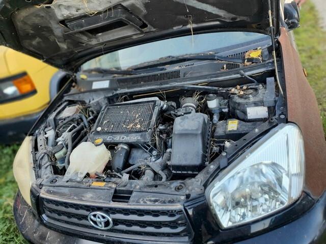 Toyota RAV4 2.0 Tdi D4D 4WD 5p.