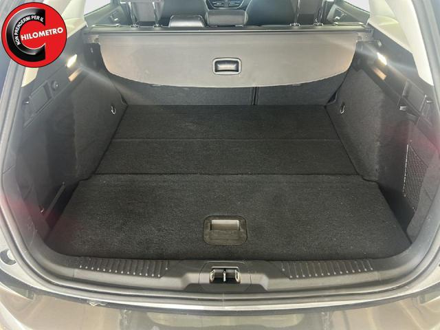 FORD Focus 1.5 EcoBlue 115 CV automatico SW Titanium Business