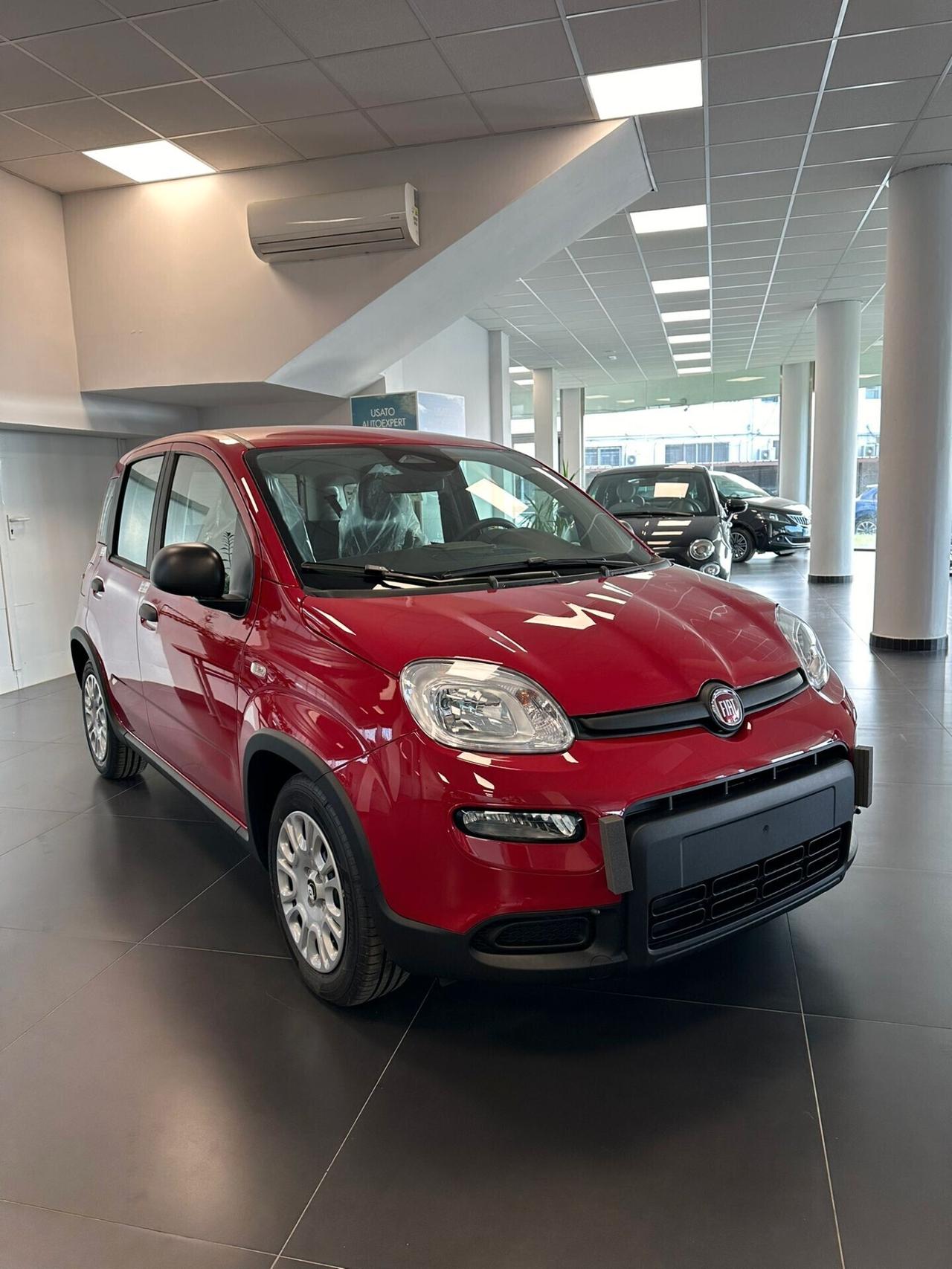 FIAT PANDA 1.0 Hybrid KM 0 2024 Nuova PANDINA