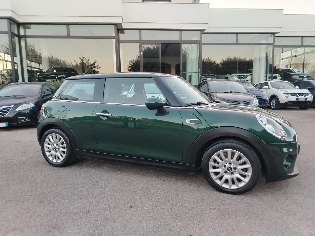 Mini 1.5 One D
